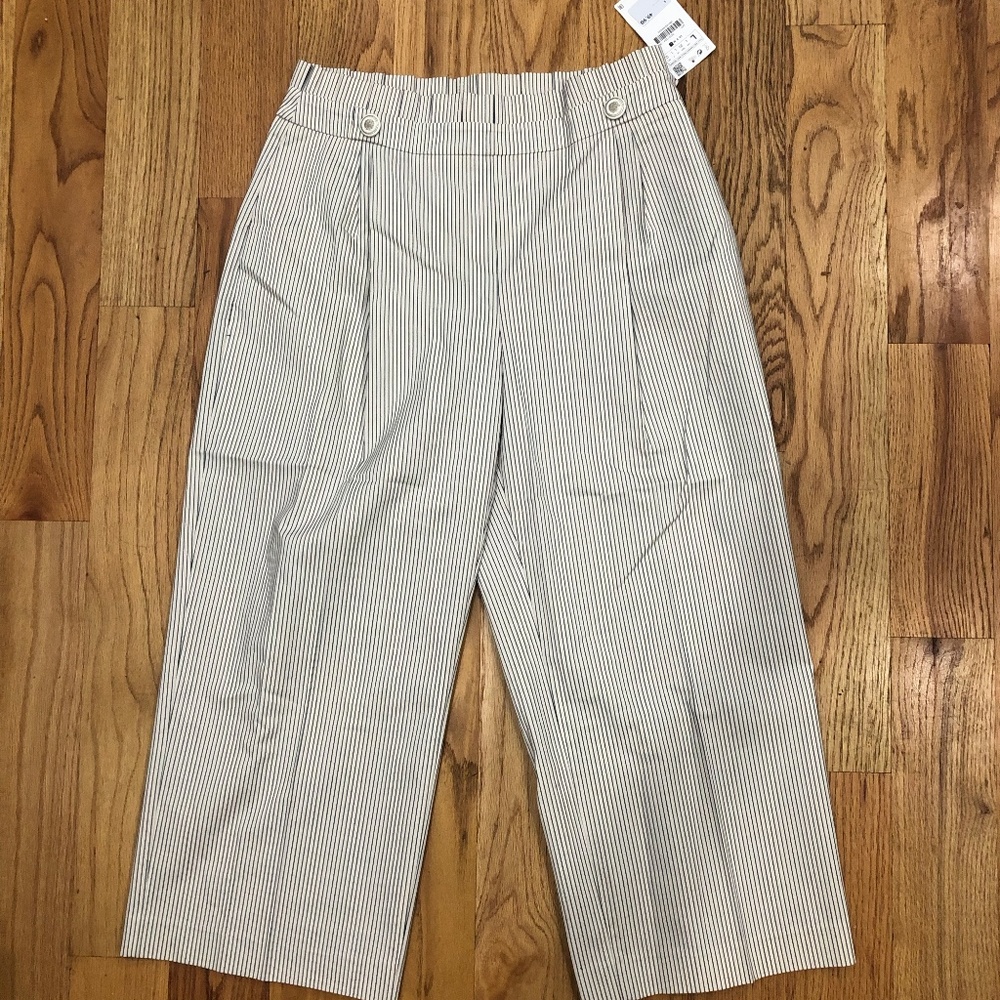 Zara Striped Wide Leg Pants